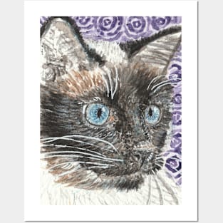 Siamese cat  face  blue eyes Posters and Art